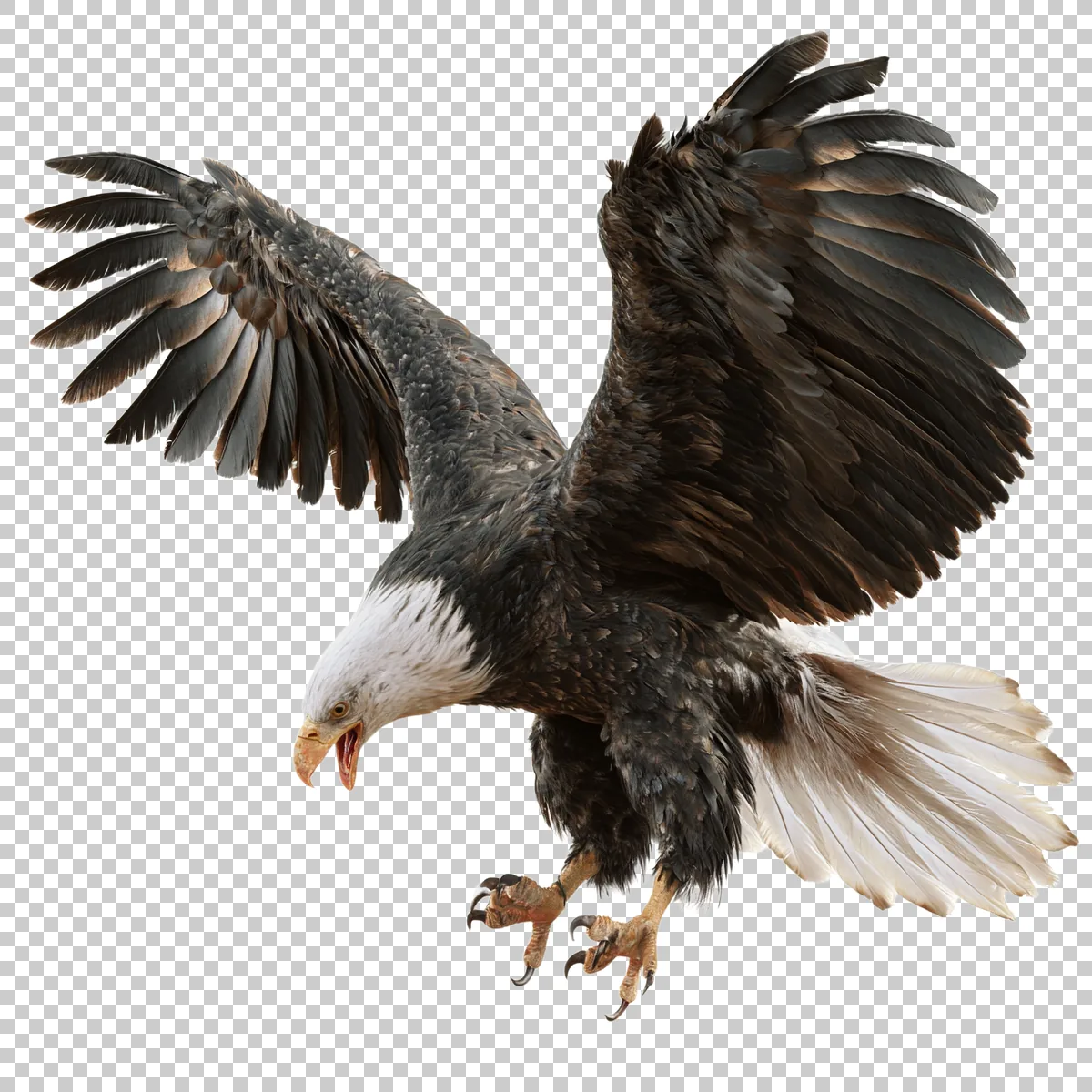 Bald Eagle Diving Downward With Talons Extended Re 1 H transparent PNG