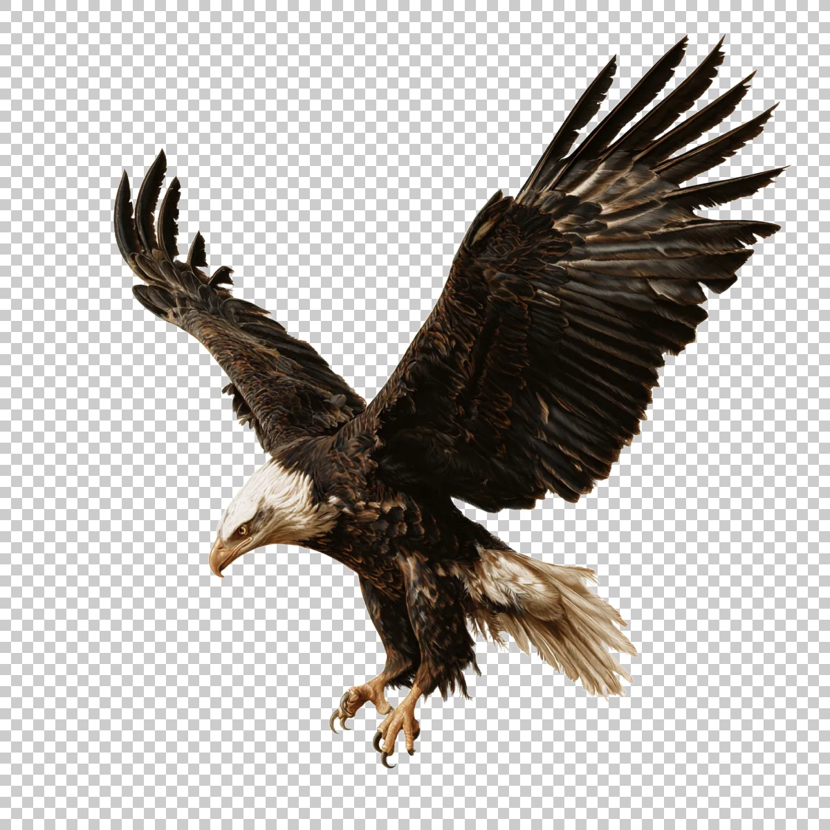 Bald Eagle Flying Directly Toward The Viewer With 3 H transparent PNG